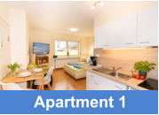 Apartment 1